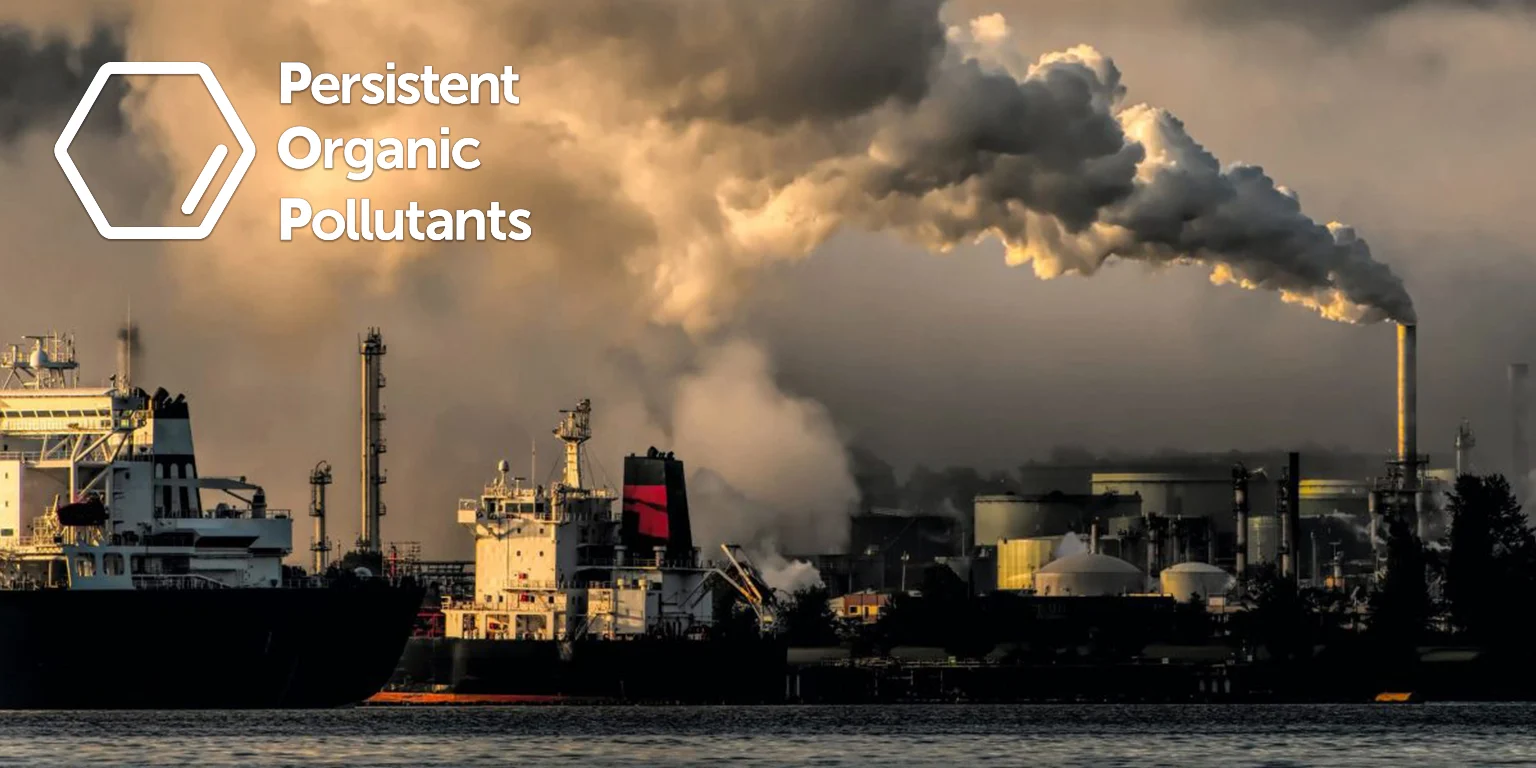 persistent organic pollutants (POPs)